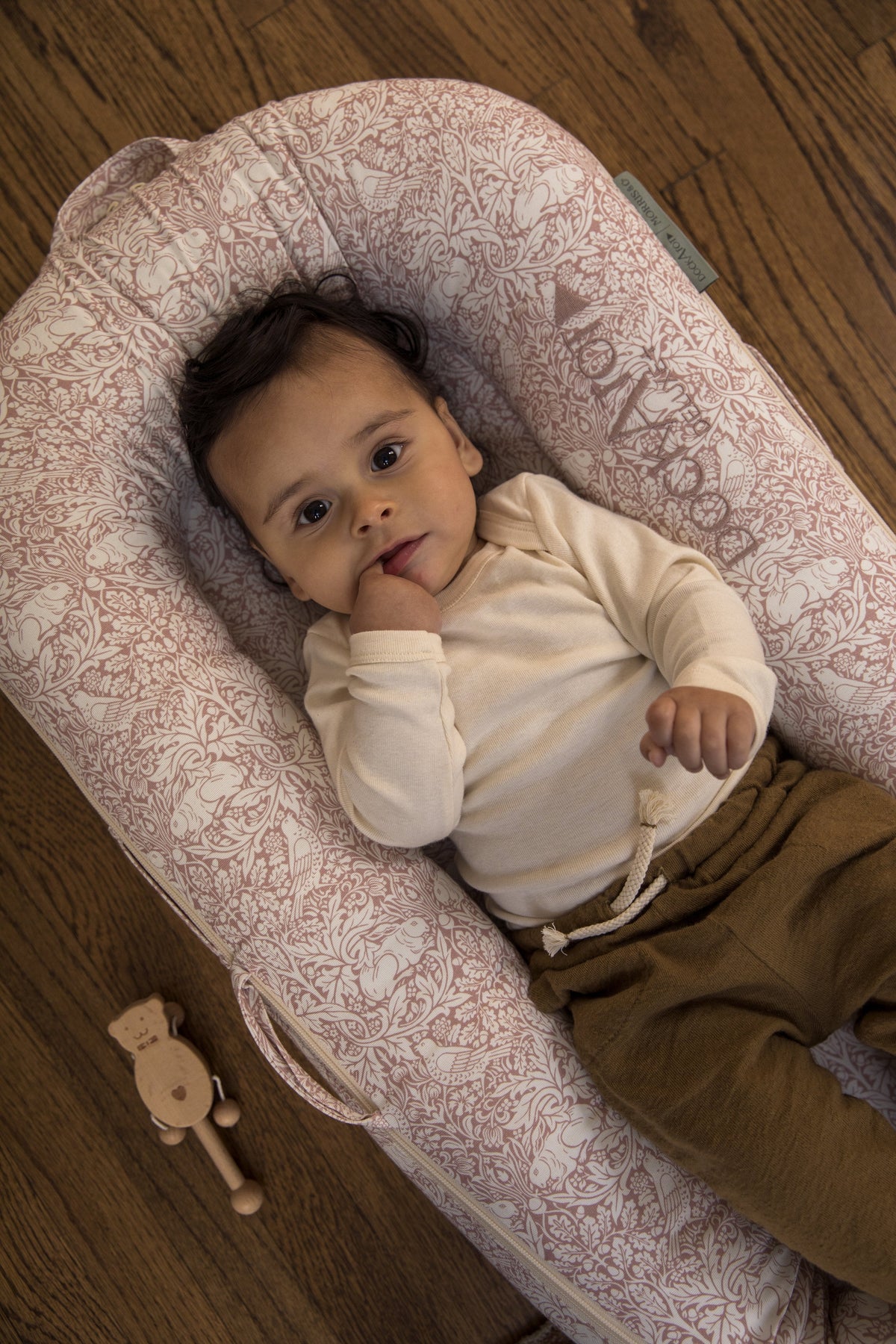 Deluxe+ Dock (0-8 months) - Brer Rabbit - Bubbadue