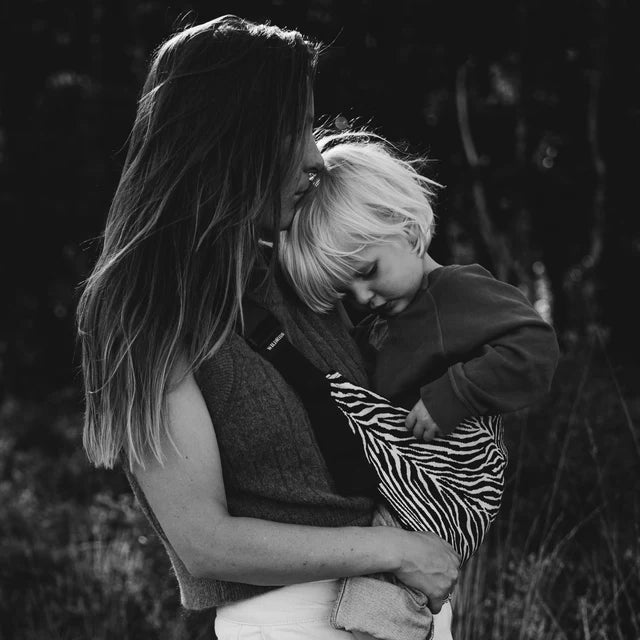 Wild Ride Toddler Carrier Black Zebra