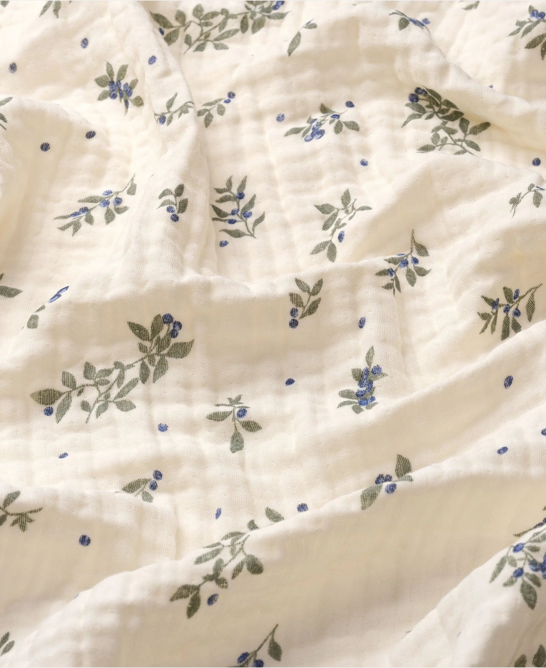 Murray Swaddle, Blueberries