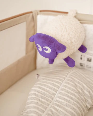 Ewan Deluxe | Purple