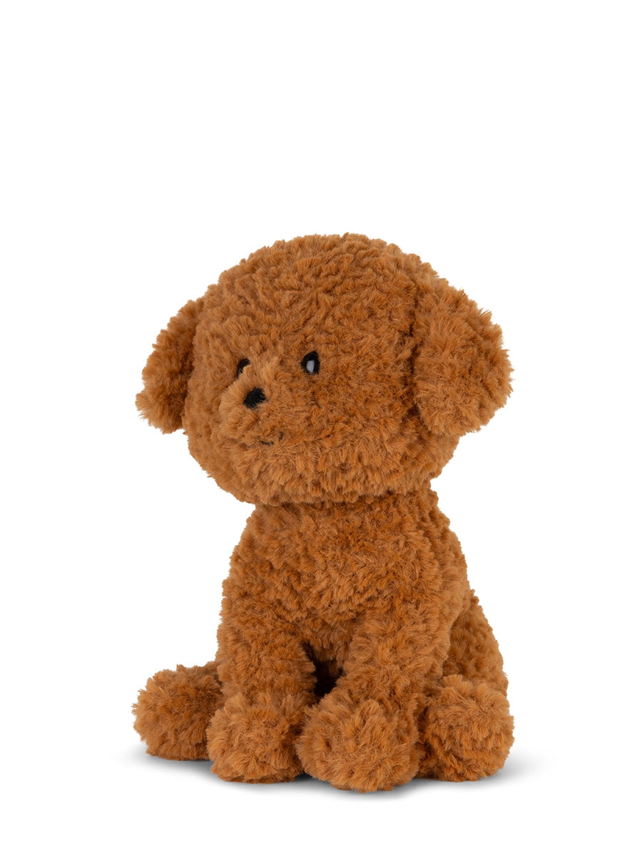Stacy the Labradoodle Plush in Gift Box (18cm)