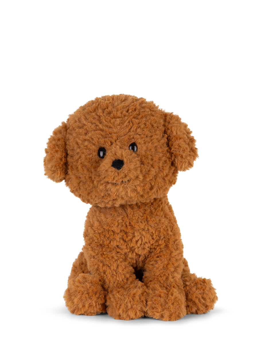 Stacy the Labradoodle Plush in Gift Box (18cm)
