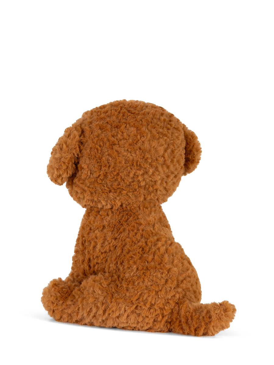 Stacy the Labradoodle Plush in Gift Box (18cm)