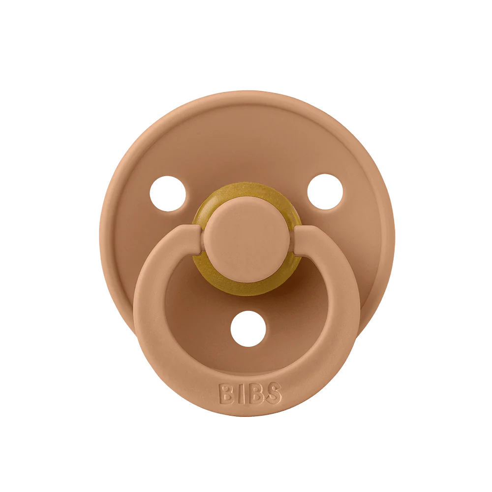 BIBS Colour Pacifiers / Dummies - Earth