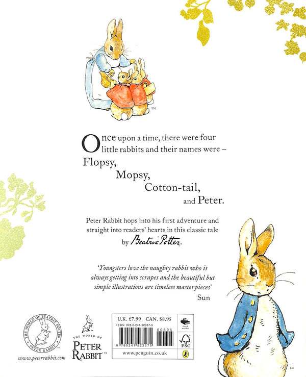 Soft cover book of The Tale of Peter Rabbit by Booksite Afrika, featuring colorful illustrations on the cover.
