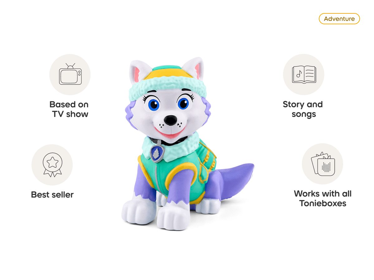 Paw Patrol - Everest