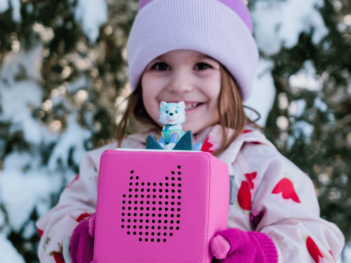 Paw Patrol - Everest