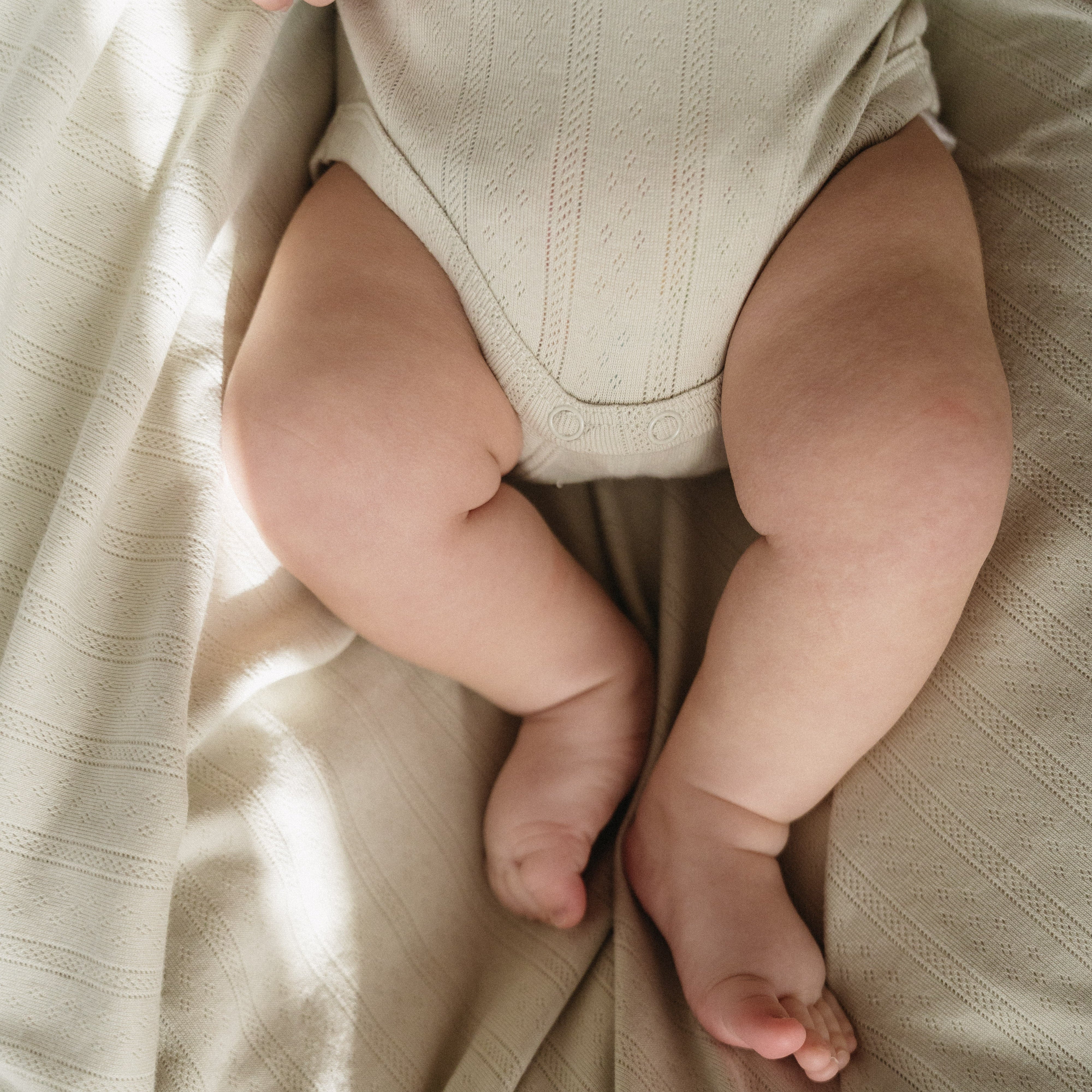 Haven Pointelle Baby Blanket - Sage