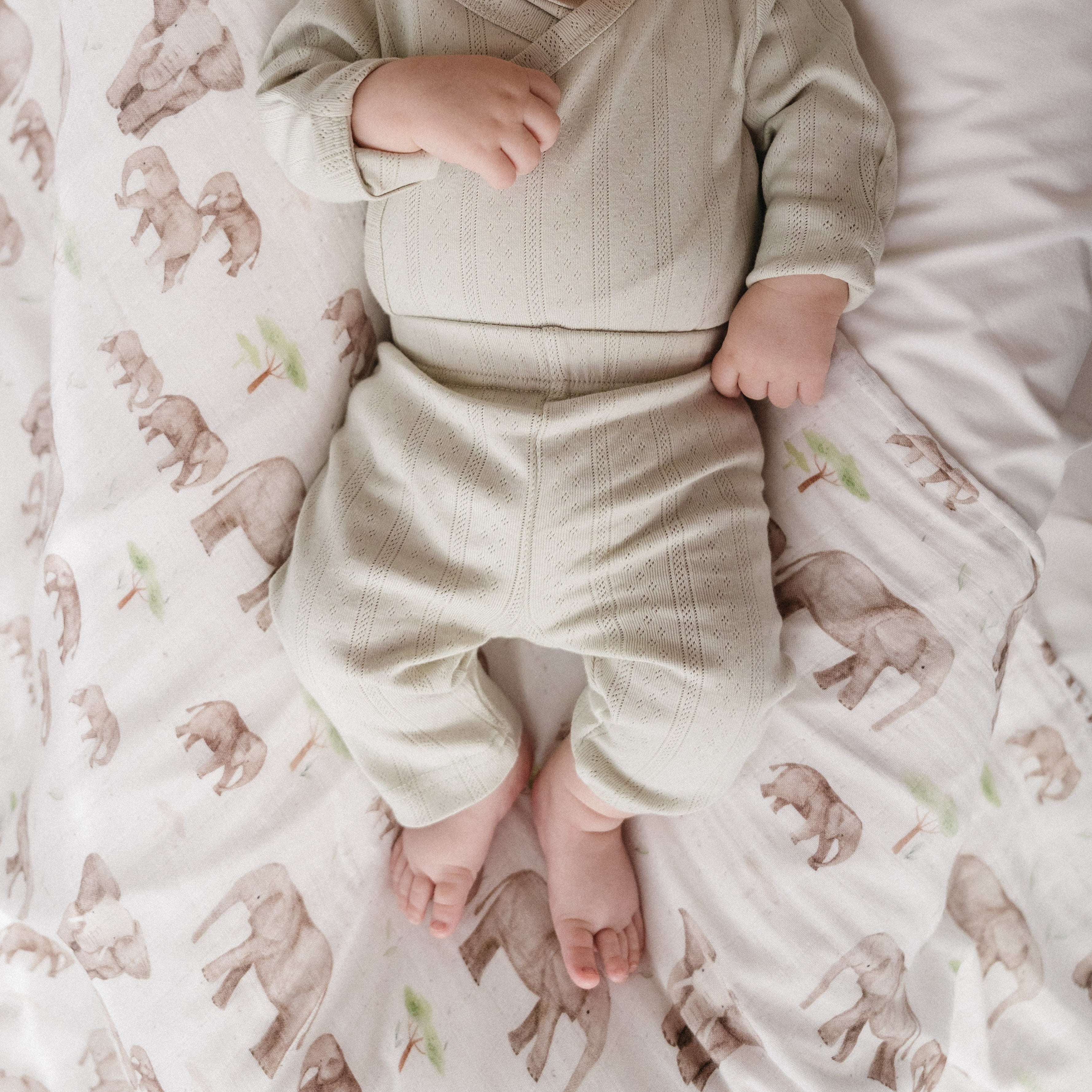 Haven Pointelle Pants - Sage