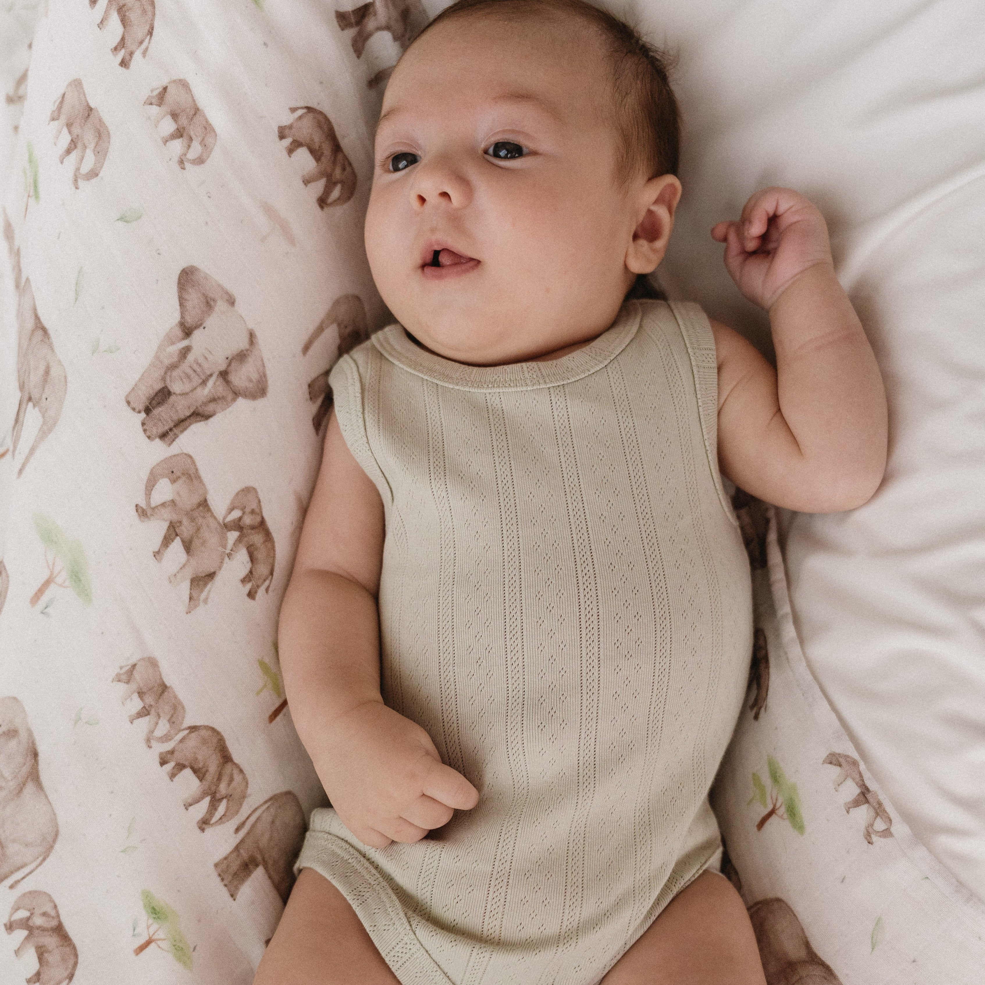 Haven Pointelle Vest - Sage