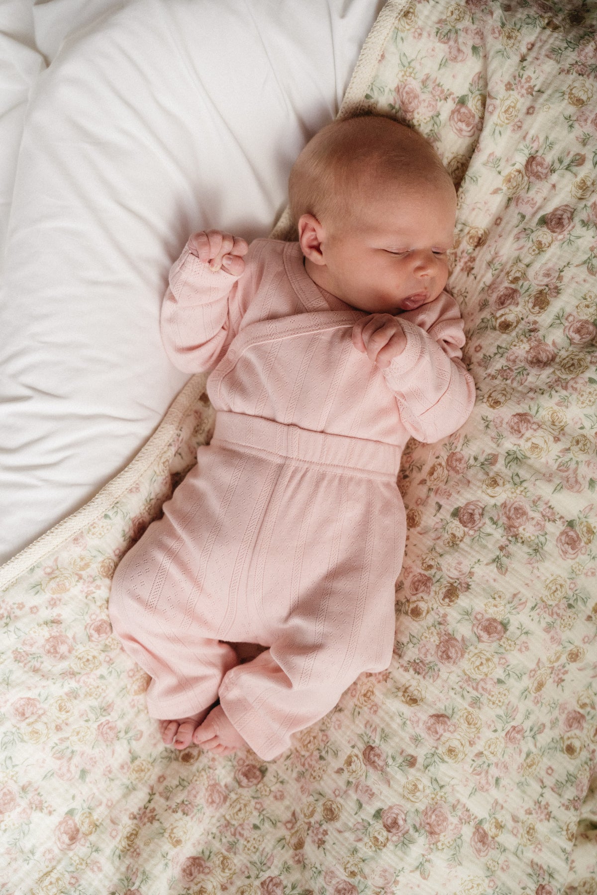 Haven Pointelle Pants - Blush