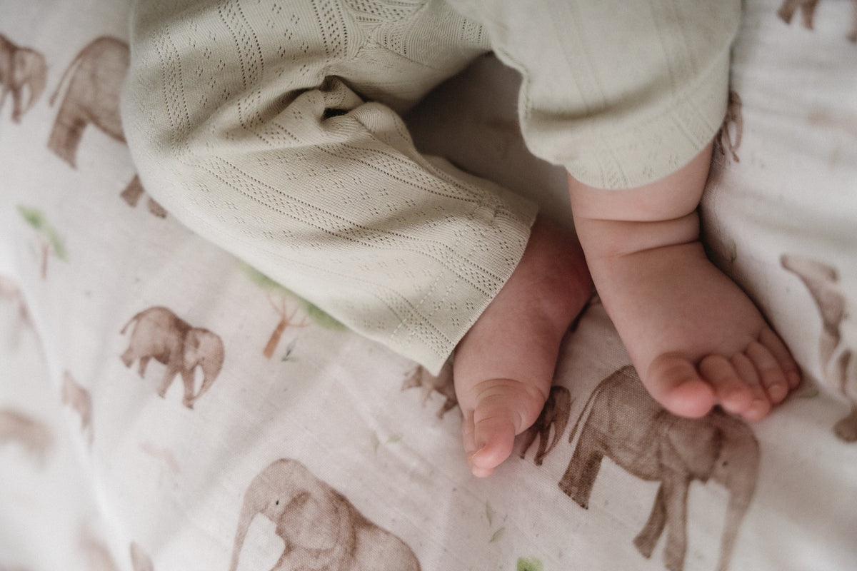 Haven Pointelle Pants - Sage