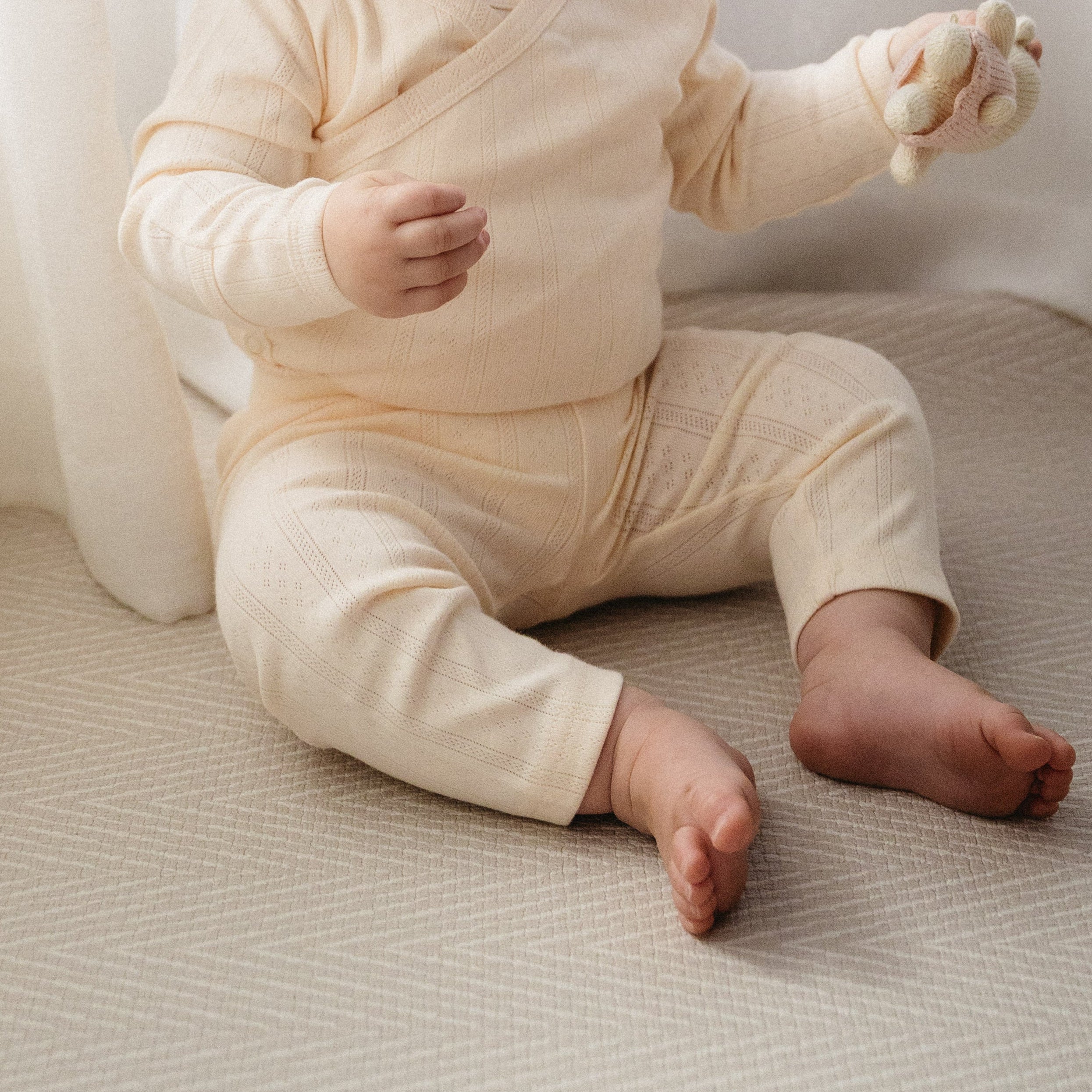 Haven Pointelle Pants - Buttermilk