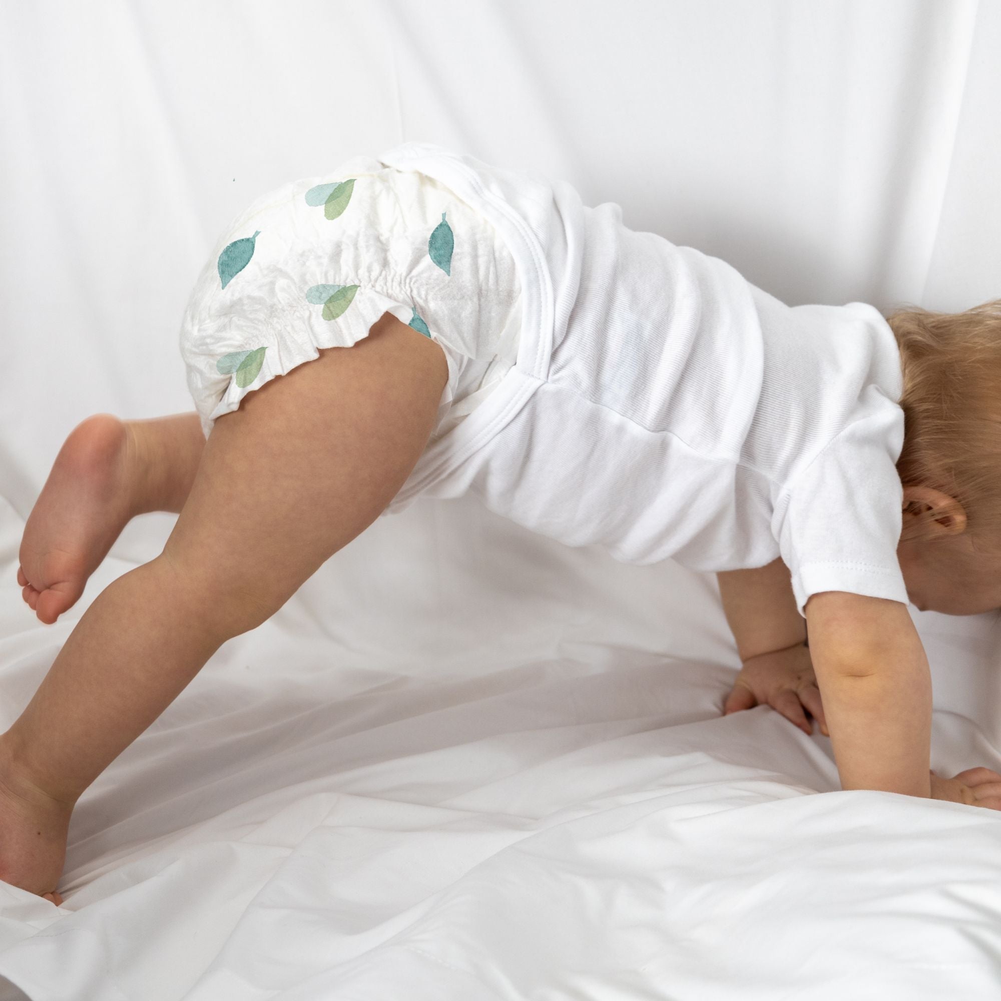 Eco Nappii Organic Bamboo Nappies packaging