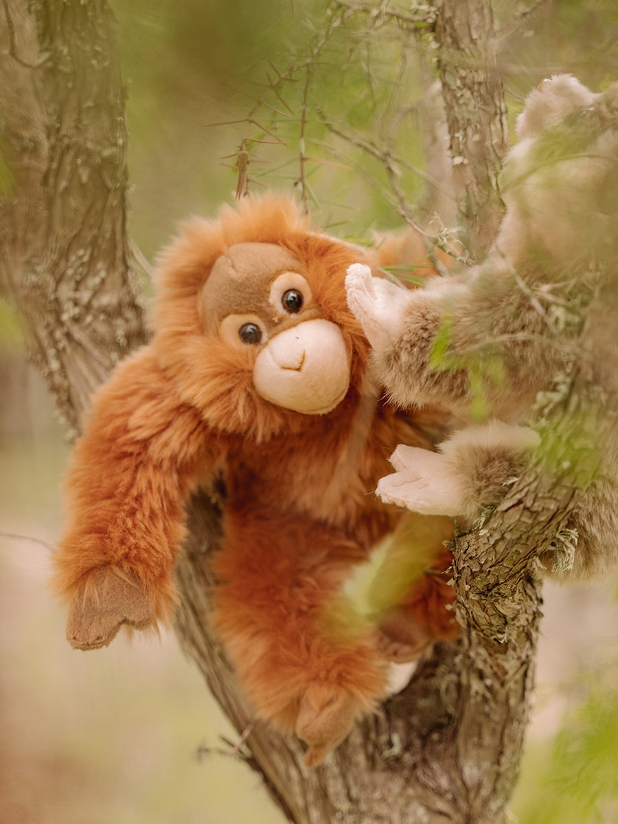 WWF Orangutan Plush (23cm)