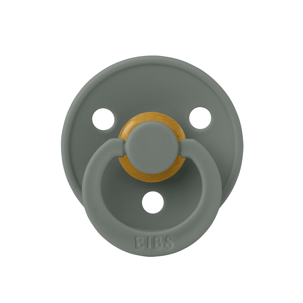 BIBS Colour Night Glow Pacifiers / Dummies - Pine - Bubbadue