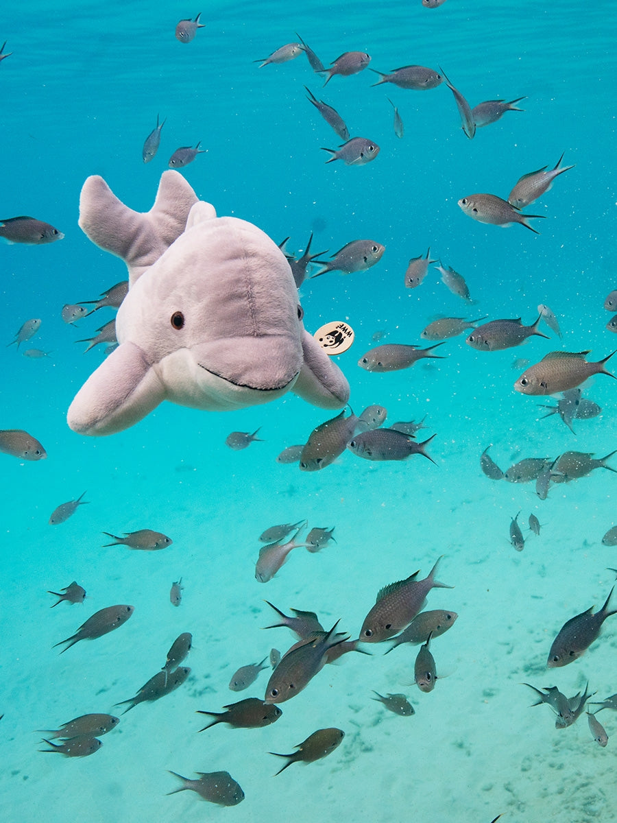 WWF Dolphin Plush (25cm)