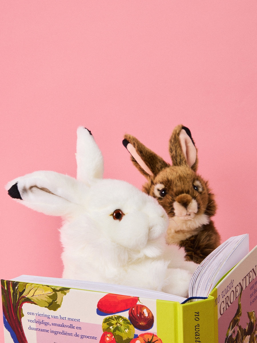 WWF Brown Hare Plush (30cm)