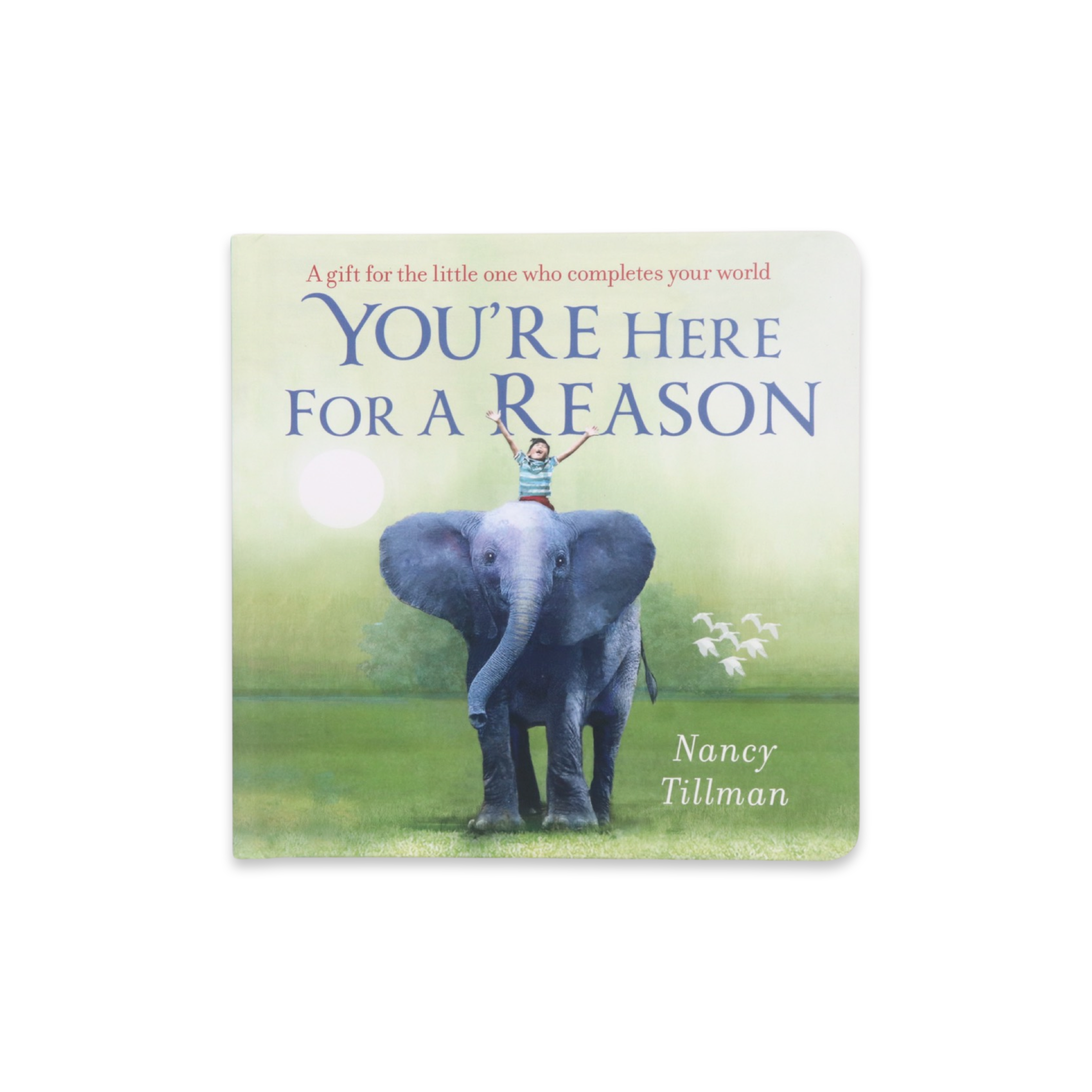 You're Here For A Reason Board Book - Bubbadue